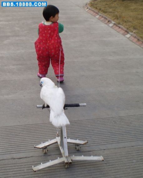 靓靓1.jpg