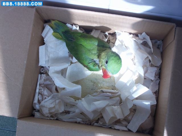照片0924 003.jpg