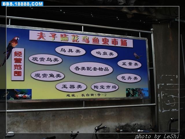 DSC08024.JPG