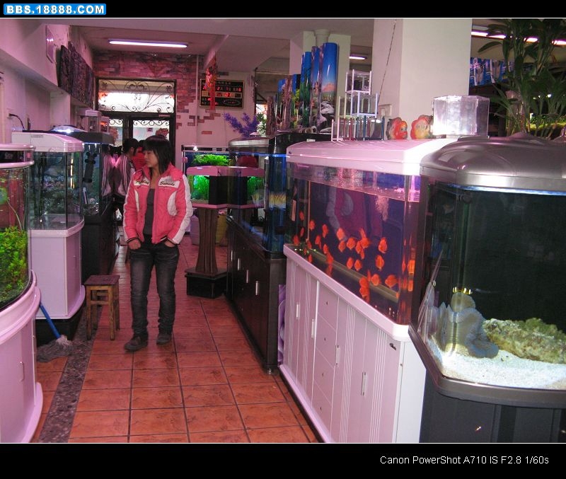 nEO_IMG_IMG_0211.jpg