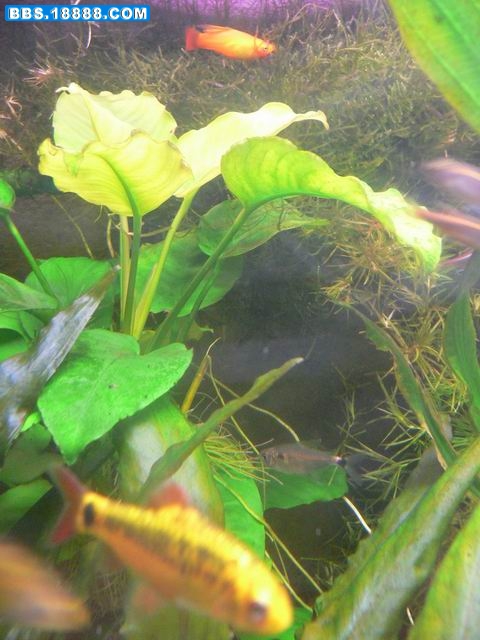 旋转 P1210794.JPG