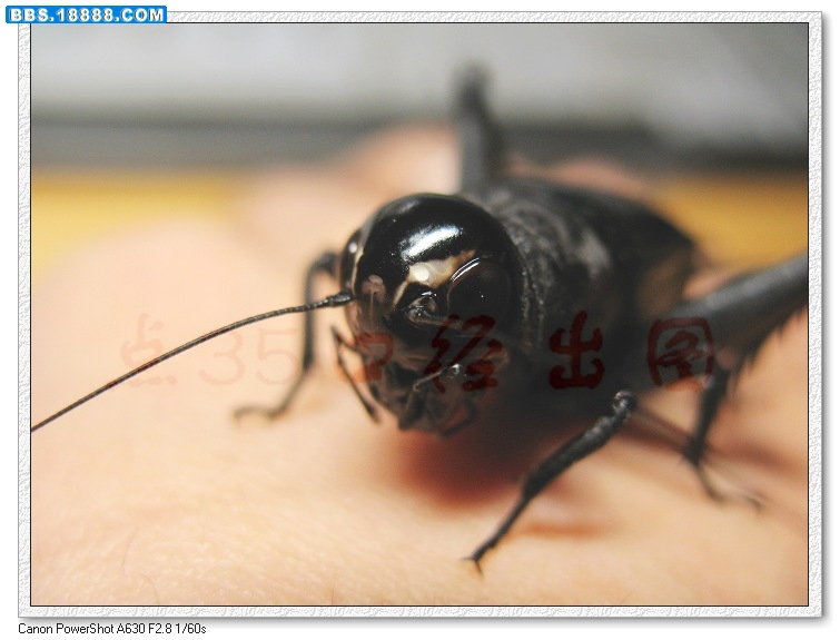 nEO_IMG_照片 022.jpg