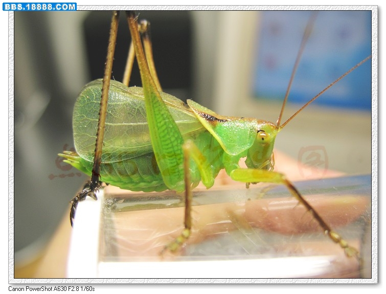 nEO_IMG_照片 014.jpg