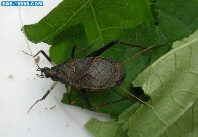 60_43900_1839c9688bc49da.jpg