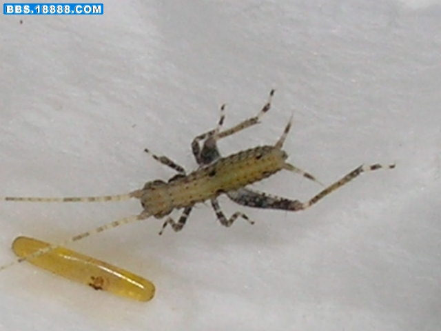 RSCN2442.JPG