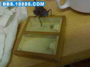 200902091017.jpg
