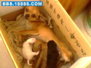 IMG0536A.jpg