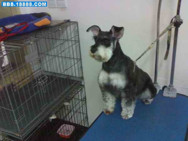 200902231066.jpg