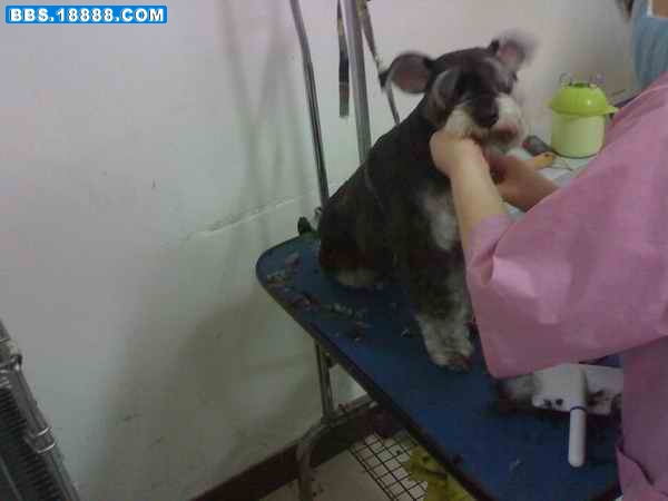 200902231057.jpg