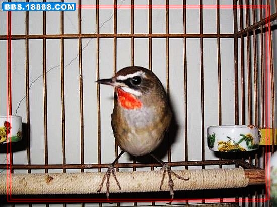 21_127362_cc60fc0a61327ec.jpg