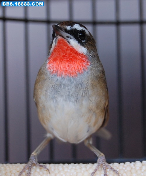DSC_0013.jpg