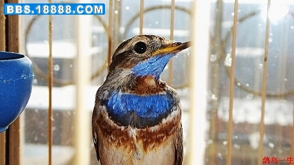 nEO_IMG_S73F2405.jpg