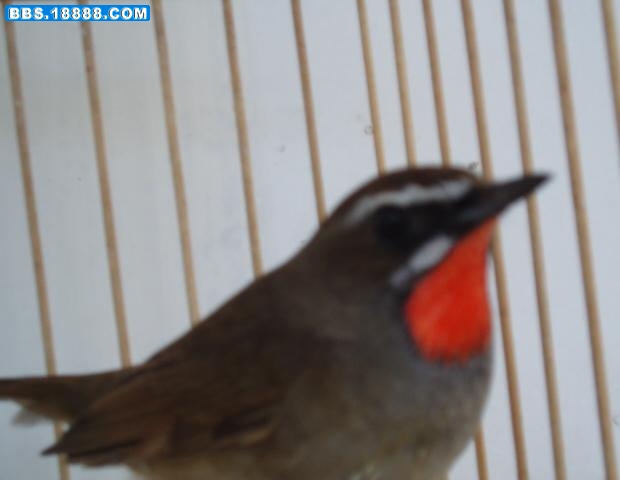 P1010051.JPG