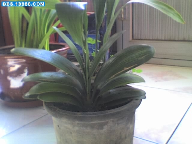 26-03-09_0842.jpg