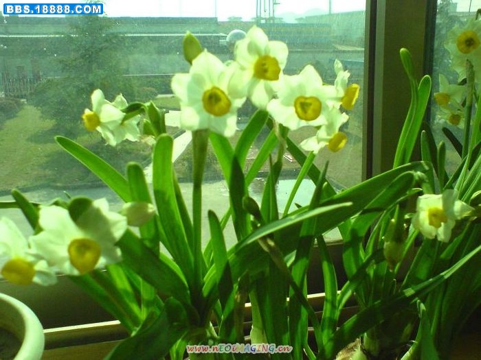DSC00967_nEO_IMG.jpg