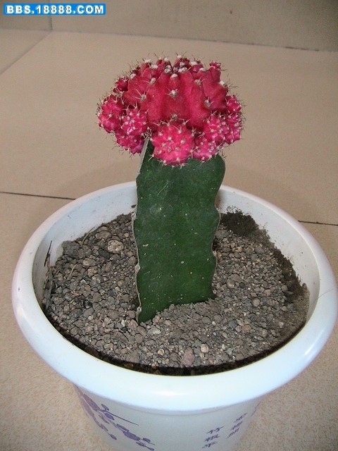 03.jpg