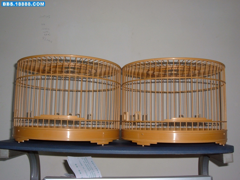 照片 271.jpg