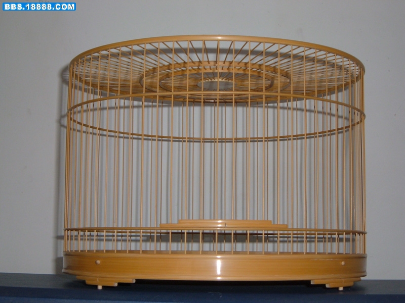 照片 320.jpg
