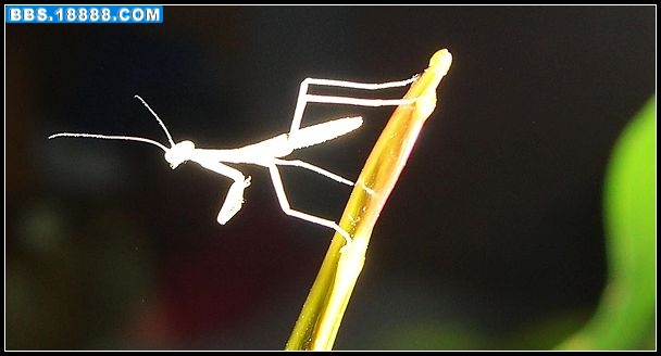 未命名.jpg