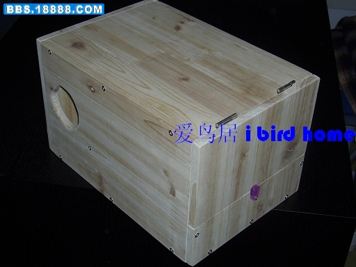 DSCI4449.JPG