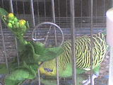 DSC00030.JPG