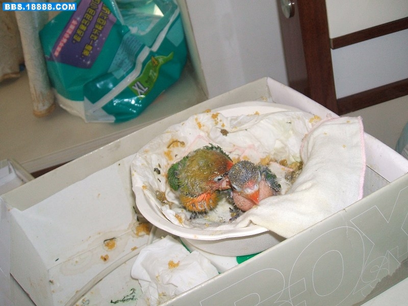 DSCF3540.jpg