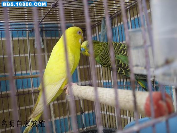 IMG_1570.jpg