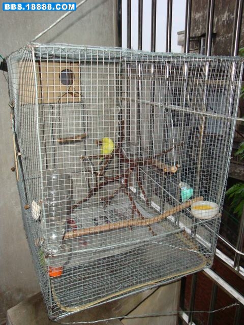 DSC01082.JPG