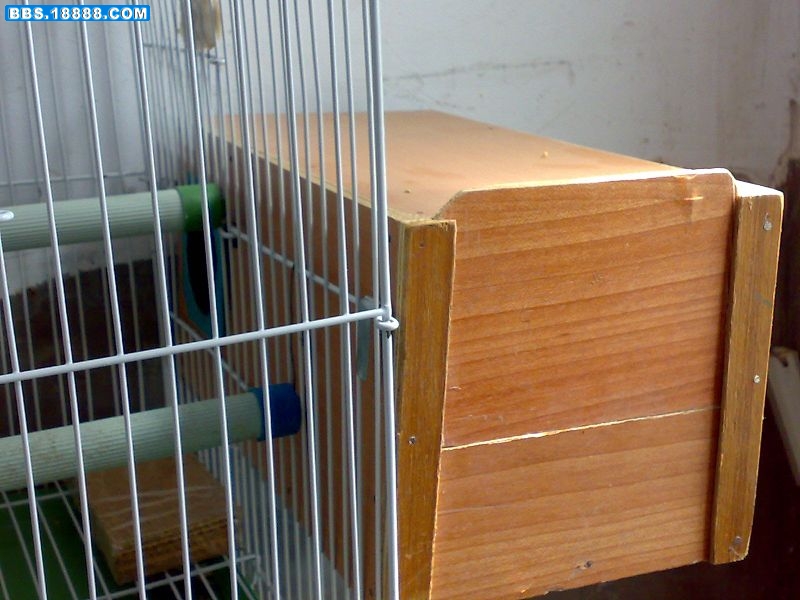 20090325074.jpg