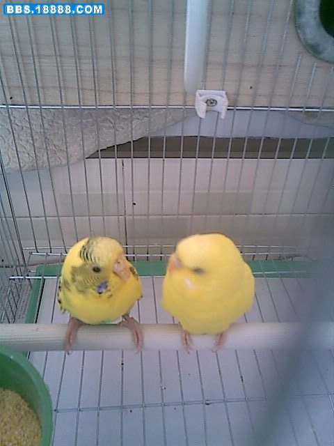 20090308(006).jpg