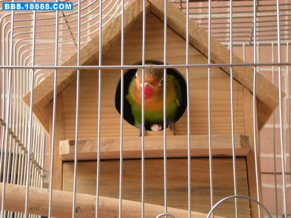 调整大小 DSCN0199.jpg