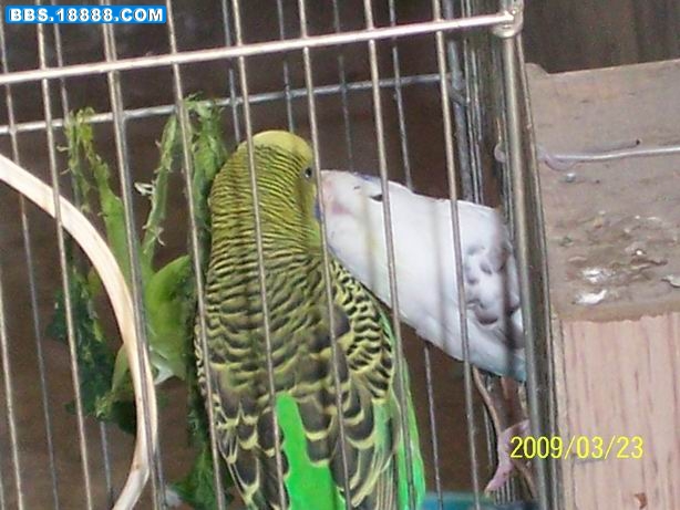 100_3401.JPG