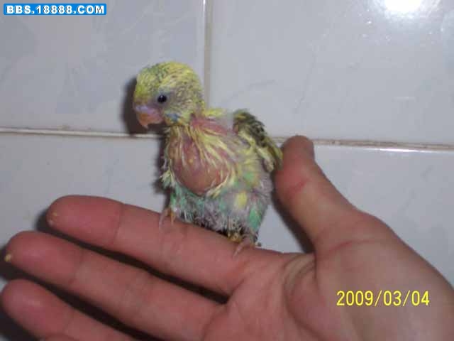 100_6644g.jpg