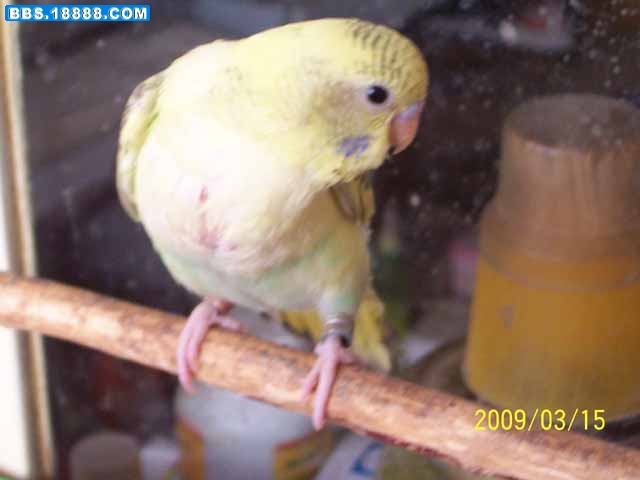 100_6699g.jpg