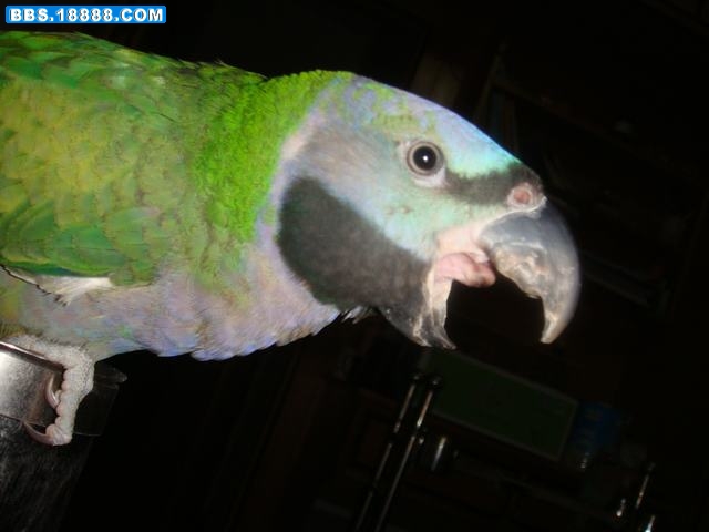 DSC01359.JPG