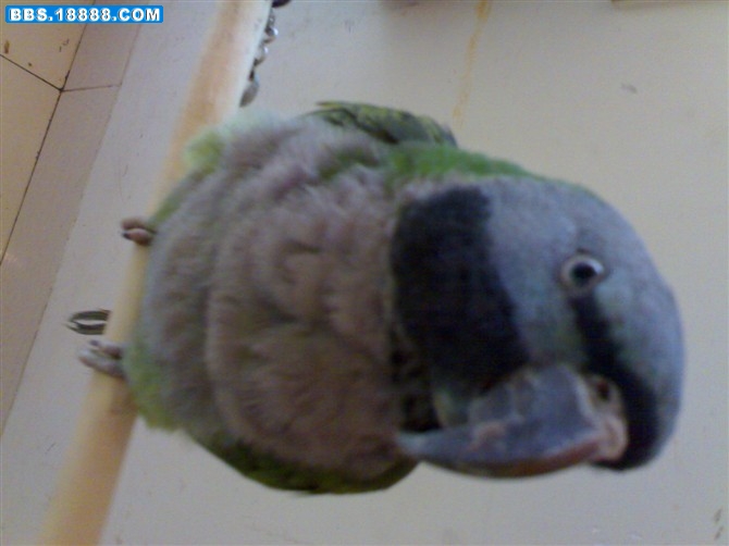 111.jpg