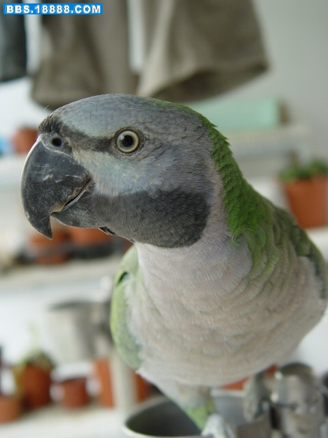 DSC09939.jpg