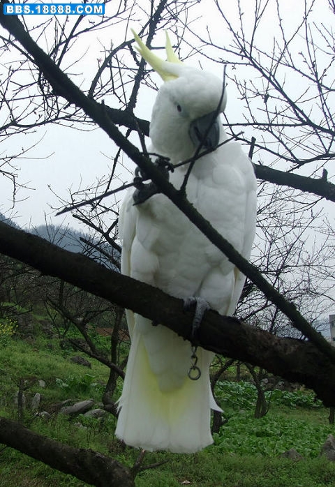 DSCF3672.JPG