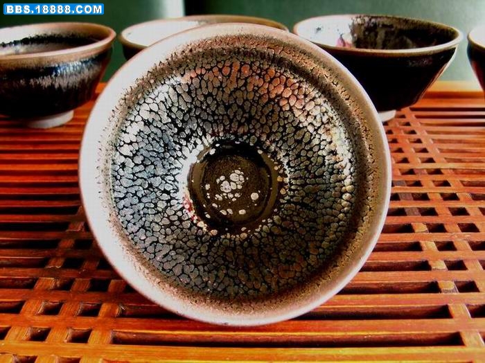 鹧鸪全俯1.JPG