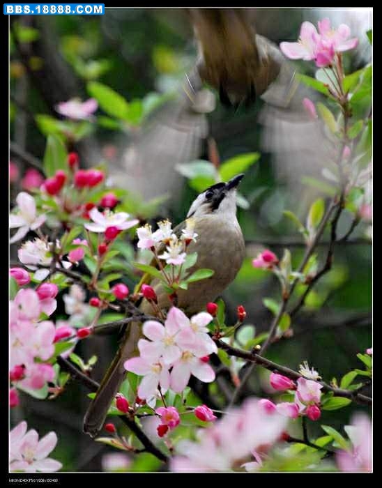 nEO_IMG_3.11沙龙公园 131.jpg