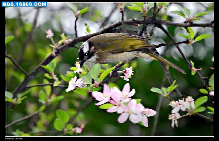 nEO_IMG_3.11沙龙公园 128.jpg