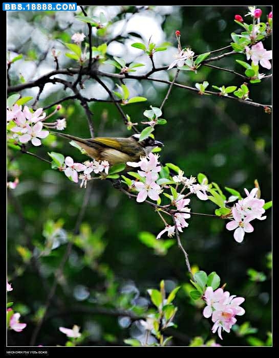 nEO_IMG_3.11沙龙公园 130.jpg