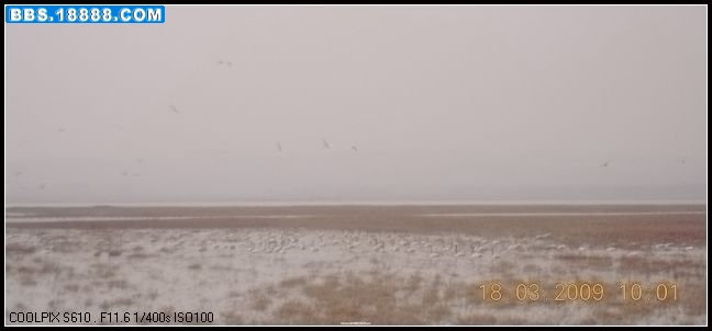 DSCN0827.jpg