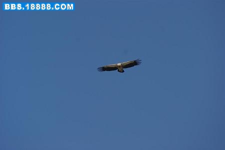 DSC00907.JPG