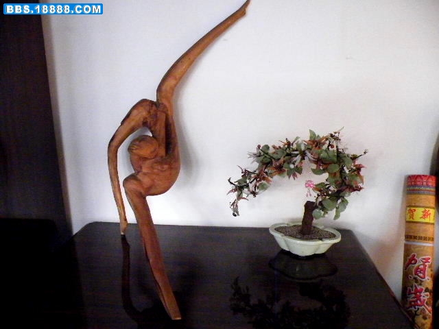 2009_01300052.JPG