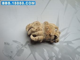 DSC01302.jpg