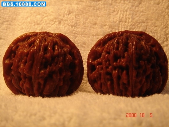 374_10958_4896d9452249ccc.jpg