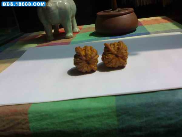 200903311191.jpg