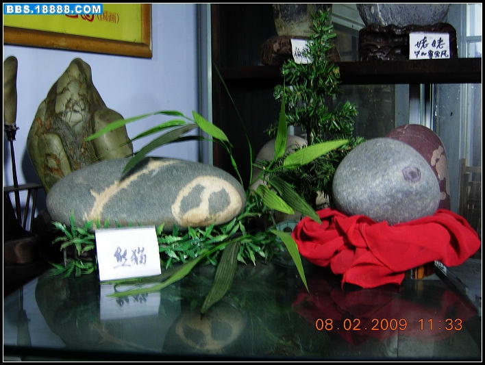 DSCN3137.jpg