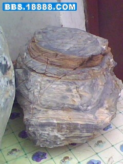 IMG0080A.jpg